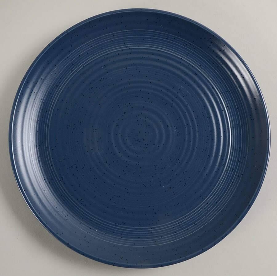 Milbrook Blue Dinner Plate by Bee & Willow Home-1