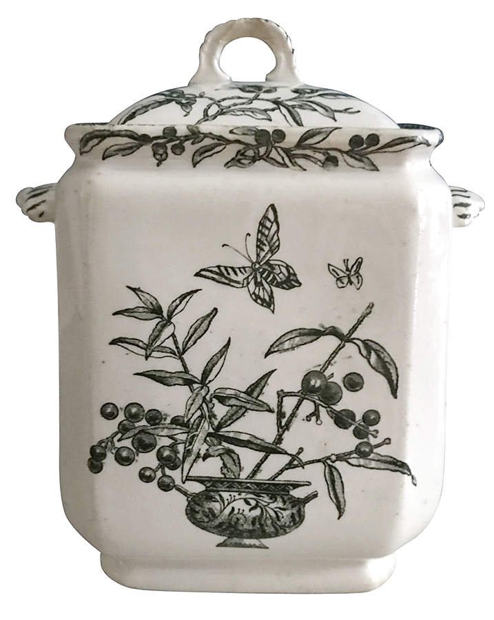 Privet Tea Caddy & Lid by Baker & Co-1