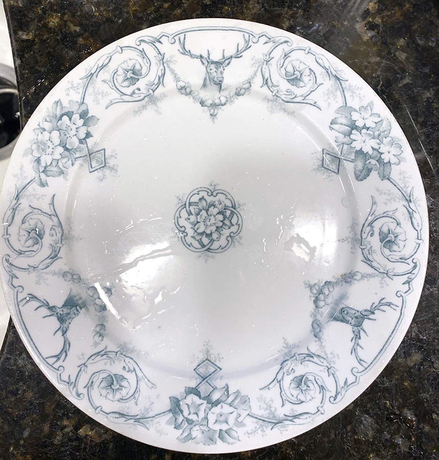 Highlands Blue Dinner Plate by Brown, Westhead & Moore-1