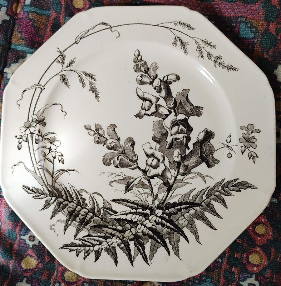 Field Flowers Black Salad Plate by Brown, Westhead & Moore-1