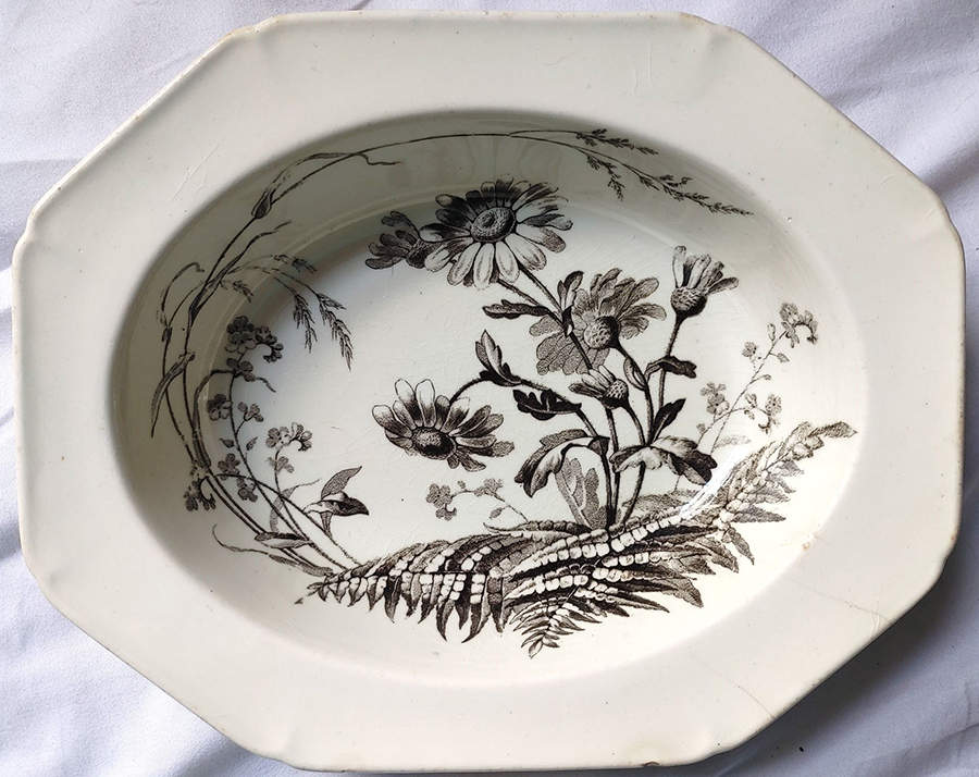 Field Flowers Black 9" Oval Vegetable Bowl by Brown, Westhead & Moore-1