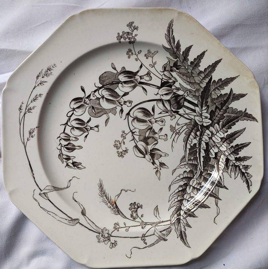 Field Flowers Black Luncheon Plate by Brown, Westhead & Moore-1