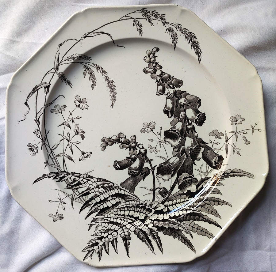 Field Flowers Black Dinner Plate by Brown, Westhead & Moore-1
