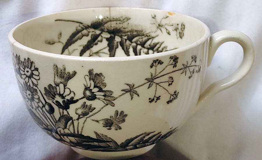 Field Flowers Black Flat Cup by Brown, Westhead & Moore-1