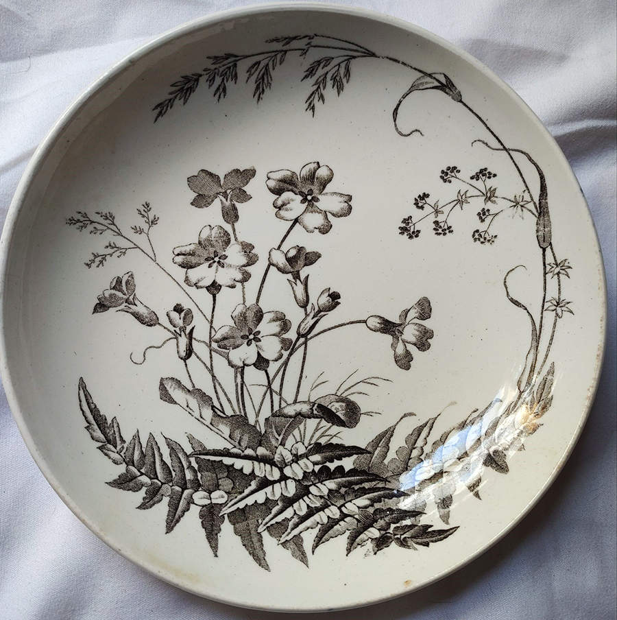 Field Flowers Black Coupe Cereal Bowl by Brown, Westhead & Moore-1