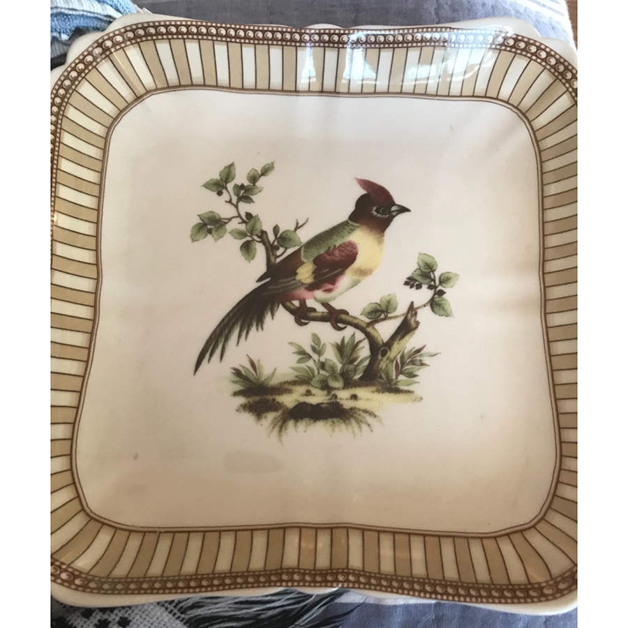 Birds of Beauty Square Dinner Plate by Burton & Burton-1