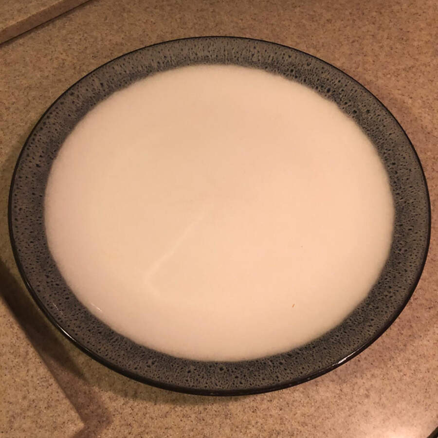 Reactive Round Dinner Plate by Broyhill-1