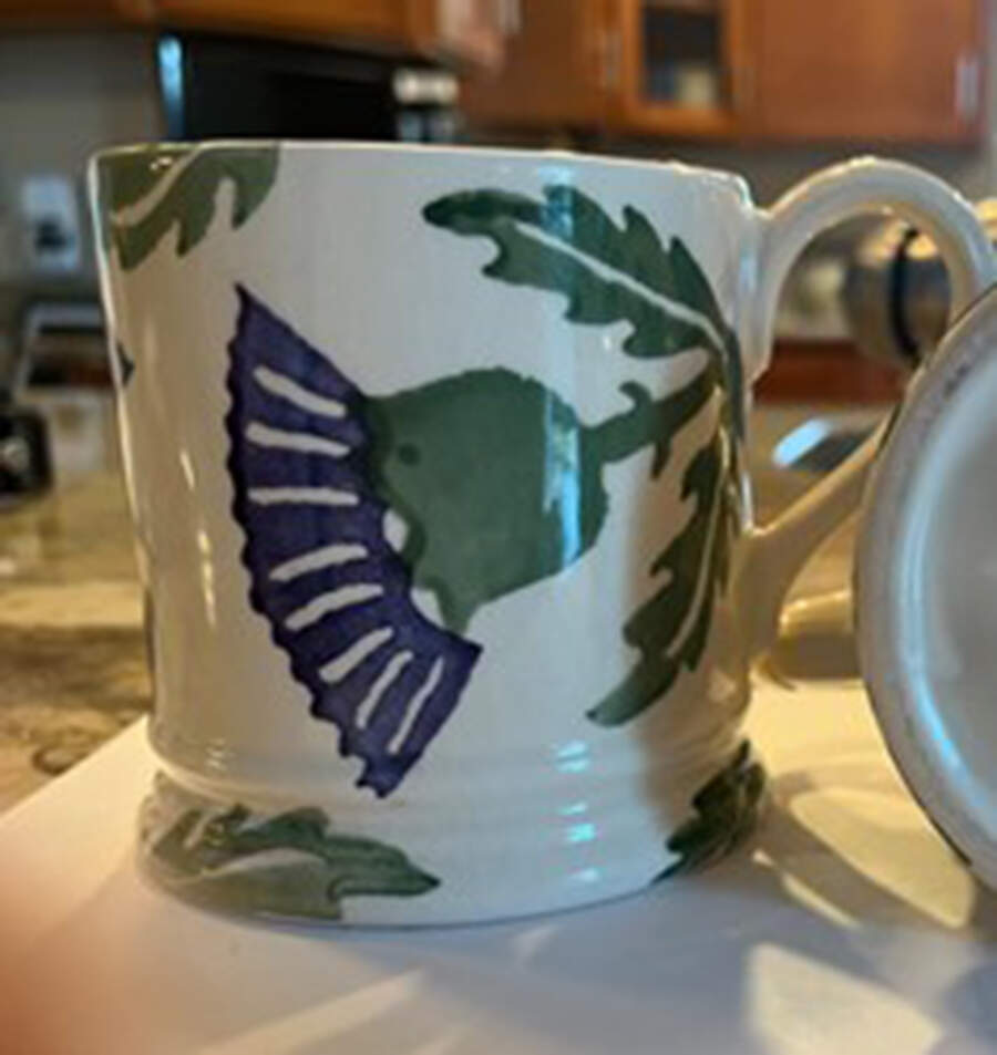 National Trust for Scotland Mug by Emma Bridgewater-1