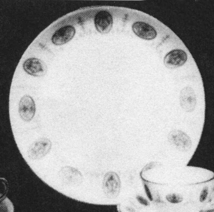 Dauphine Dinner Plate by Castleton (USA)-1