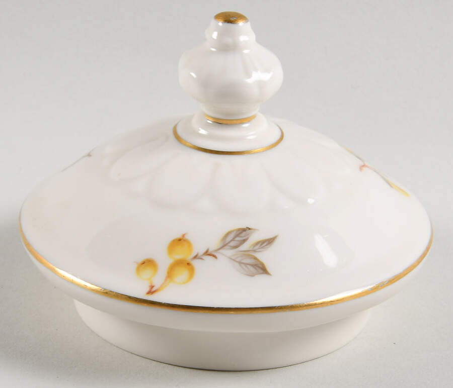 Mayfair Lid for Teapot by Castleton (USA)-1