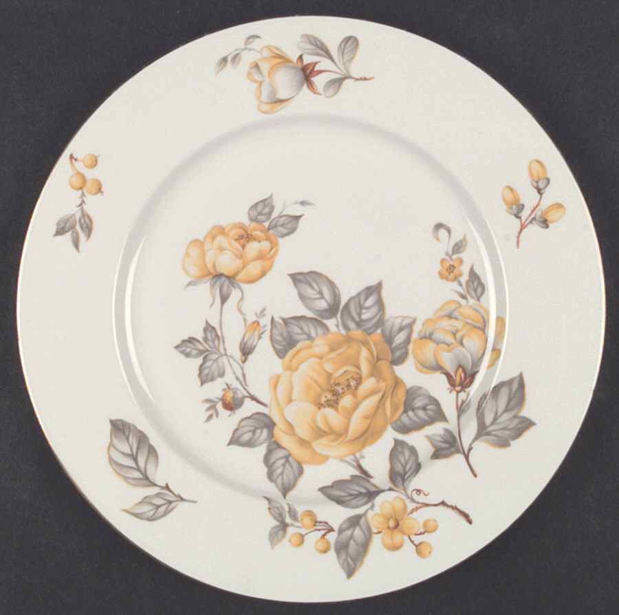 Mayfair Dinner Plate by Castleton (USA)-1