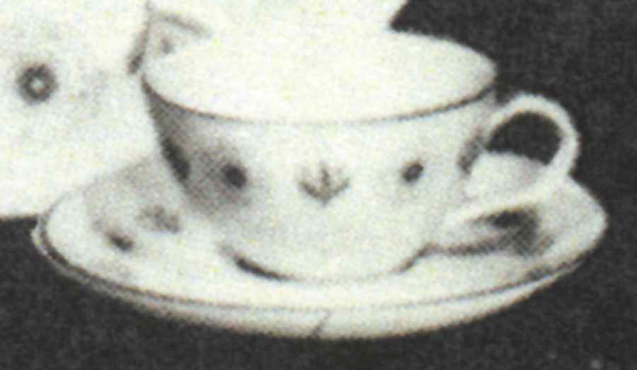 Scandia Flat Cup & Saucer Set by Castleton (USA)-1