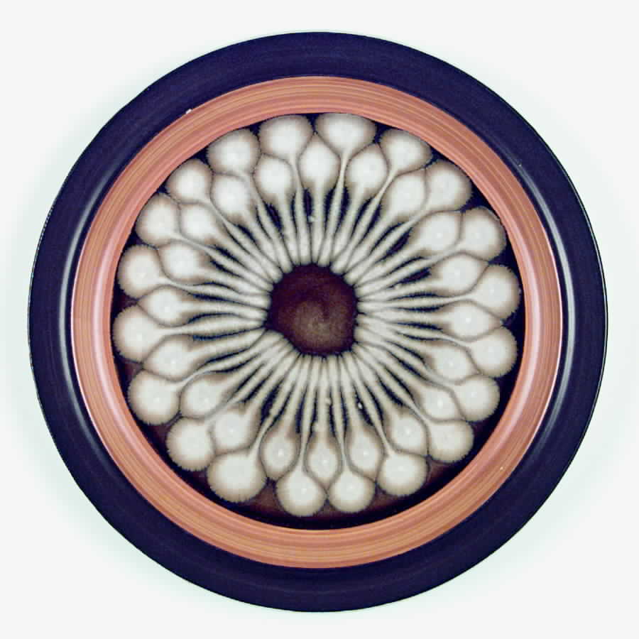 Jupiter Dinner Plate by Casual Ceram-1