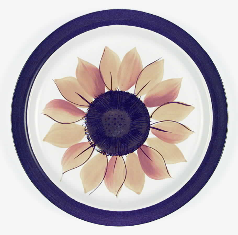 Mexacali (Rim) Dinner Plate by Casual Ceram-1