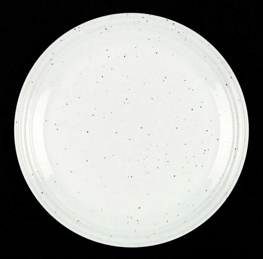 CAE2 Dinner Plate by Cartwright & Edwards-1