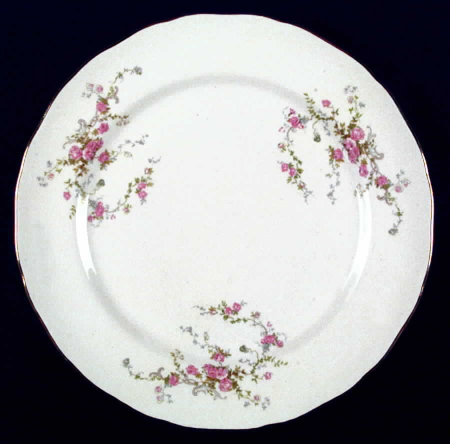 16113 Dinner Plate by Canonsburg-1