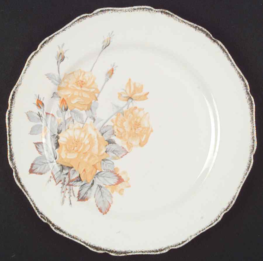 Golden Dawn Dinner Plate by Canonsburg-1