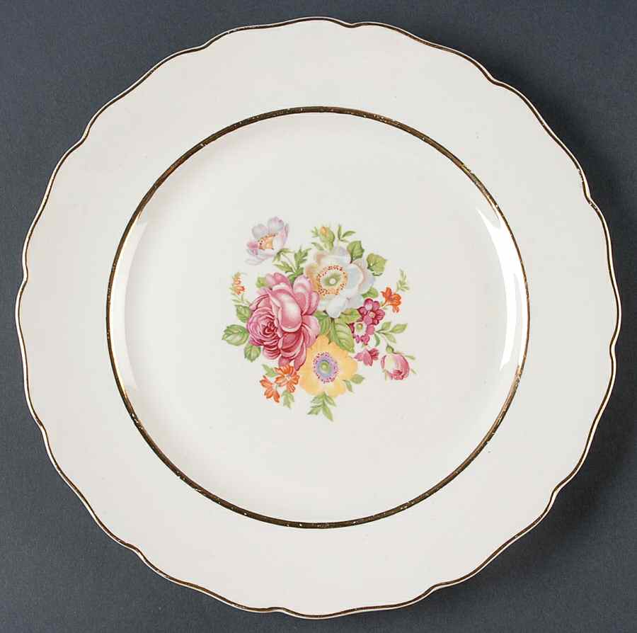 CAN18 Dinner Plate by Canonsburg-1