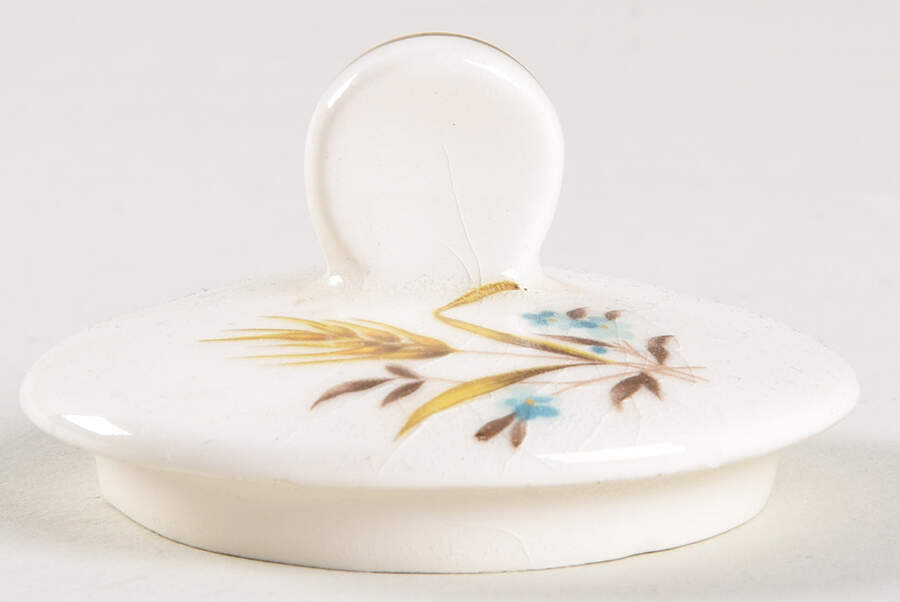 CAN2 Lid for Sugar Bowl by Canonsburg-1