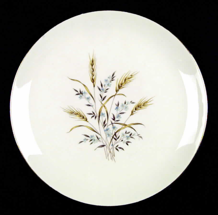 CAN2 Dinner Plate by Canonsburg-1
