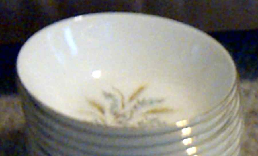 CAN2 Fruit/Dessert (Sauce) Bowl by Canonsburg-1