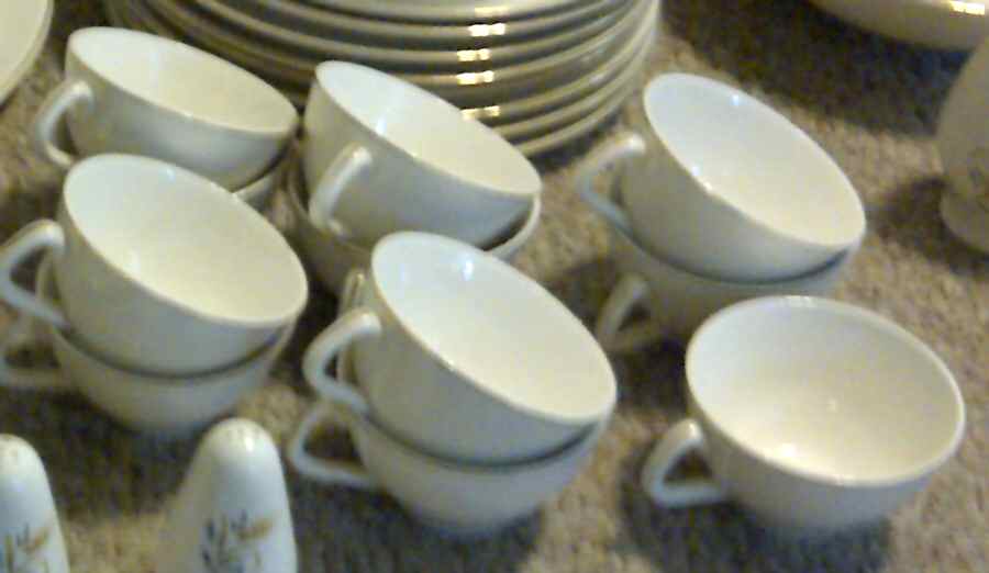 CAN2 Flat Cup by Canonsburg-1