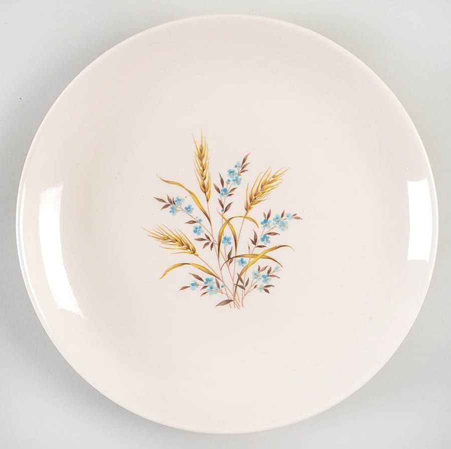 CAN2 Salad Plate by Canonsburg-1
