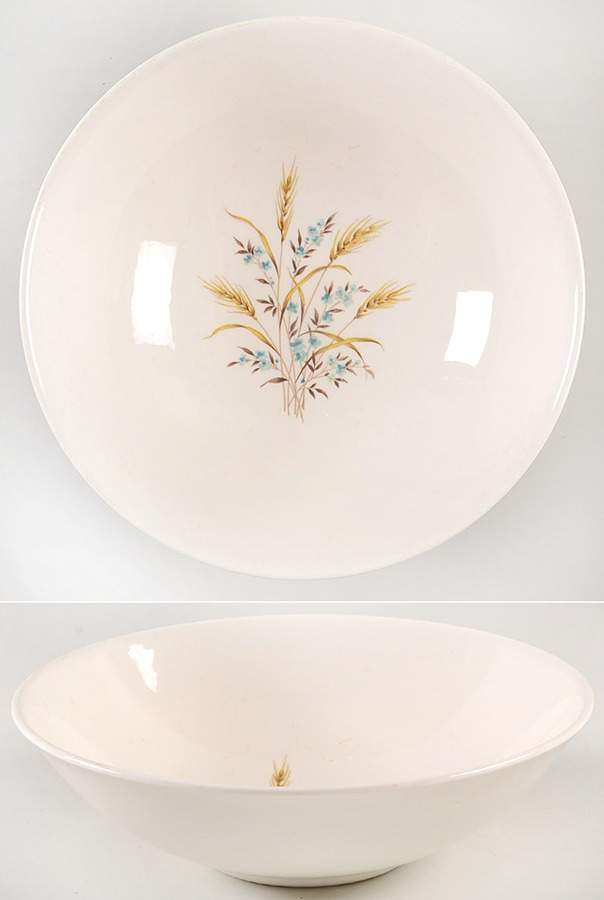 CAN2 9" Round Vegetable Bowl by Canonsburg-1