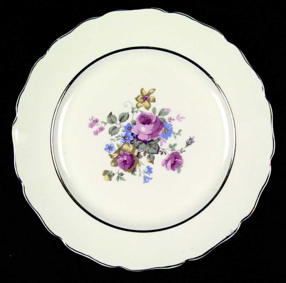 CAN20 Dinner Plate by Canonsburg-1