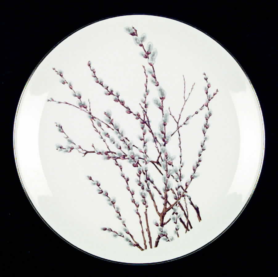 CAN21 Dinner Plate by Canonsburg-1
