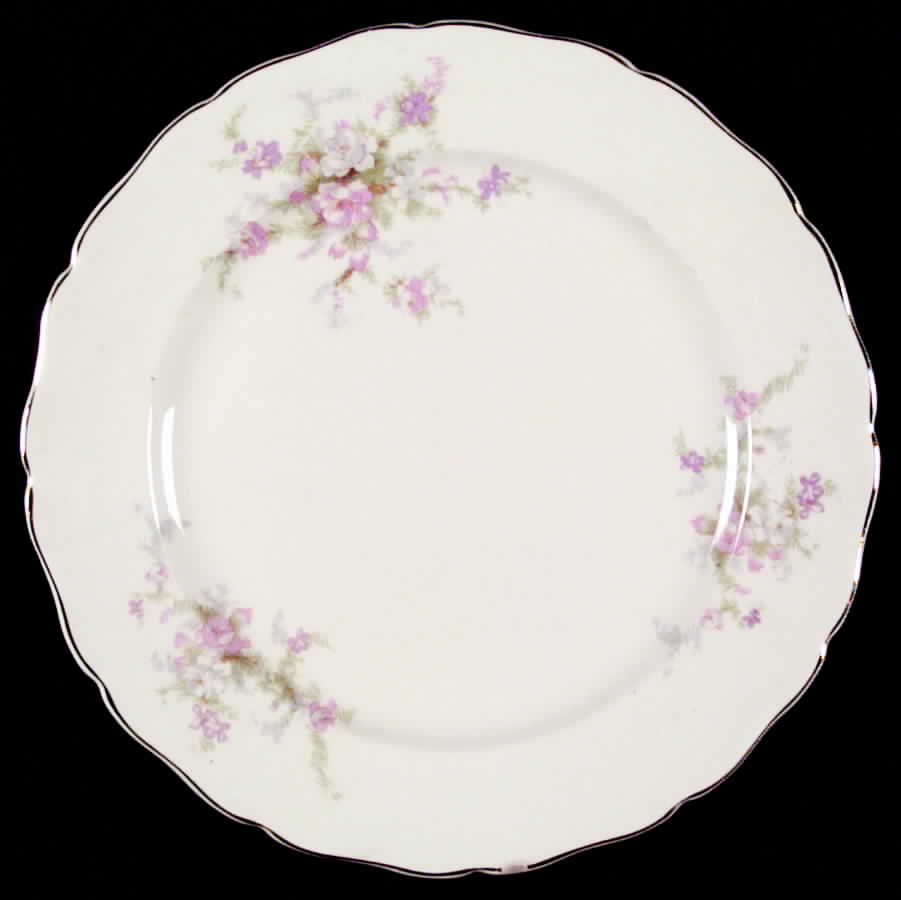 CAN22 Dinner Plate by Canonsburg-1