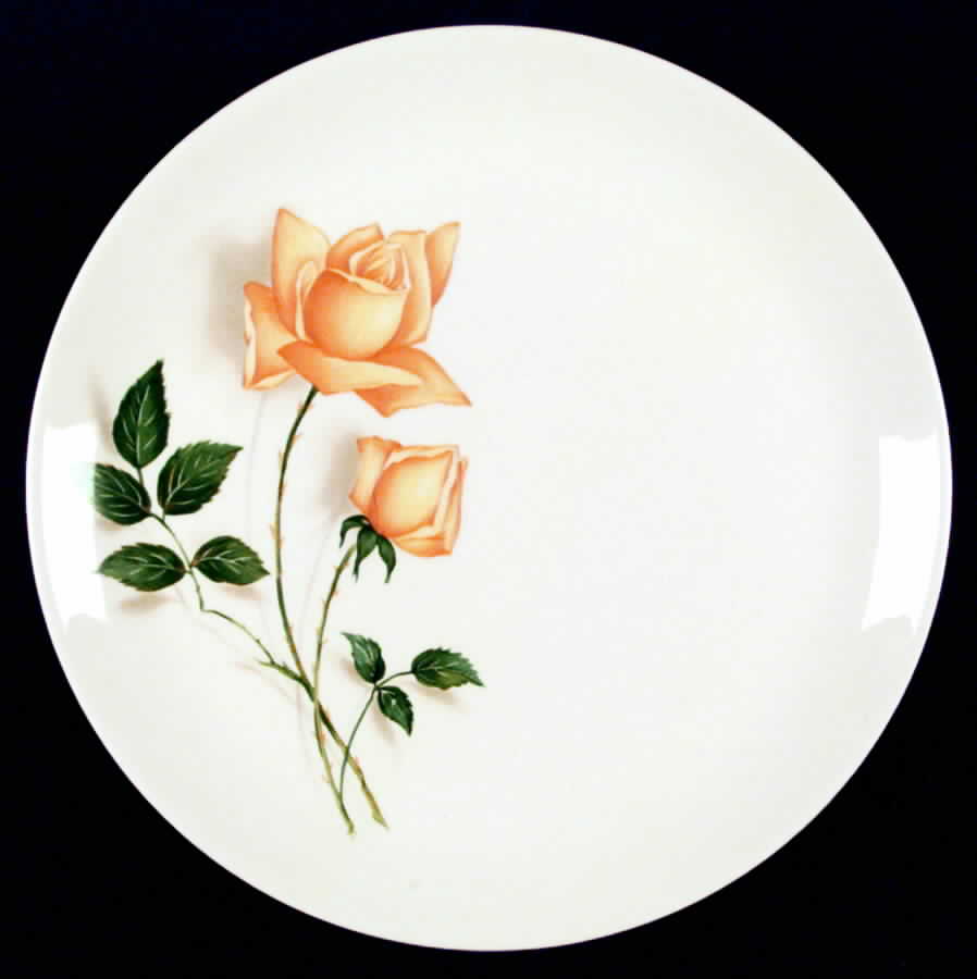 CAN23 Dinner Plate by Canonsburg-1