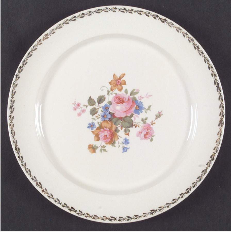 CAN24 Dinner Plate by Canonsburg-1