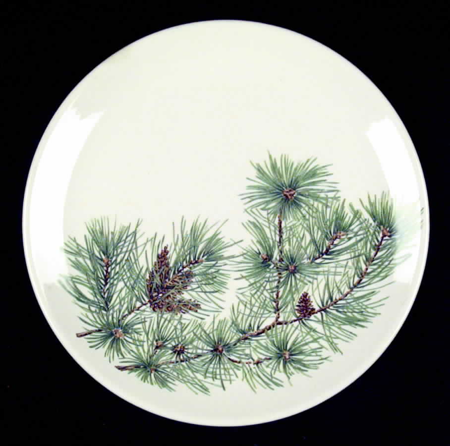 CAN27 Dinner Plate by Canonsburg-1