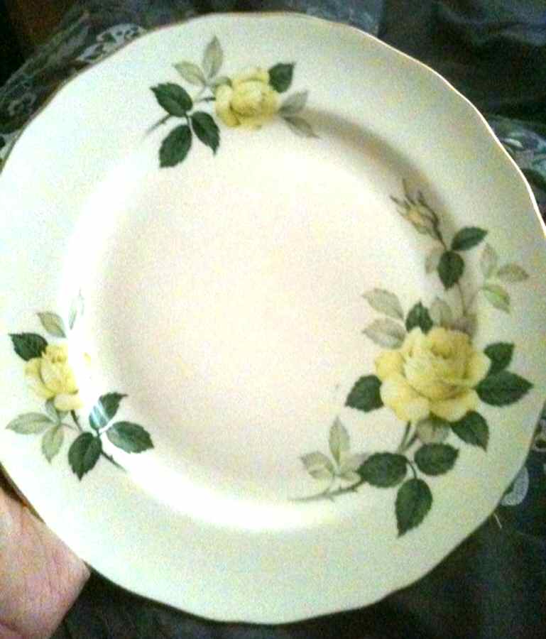 CAN28 Dinner Plate by Canonsburg-1