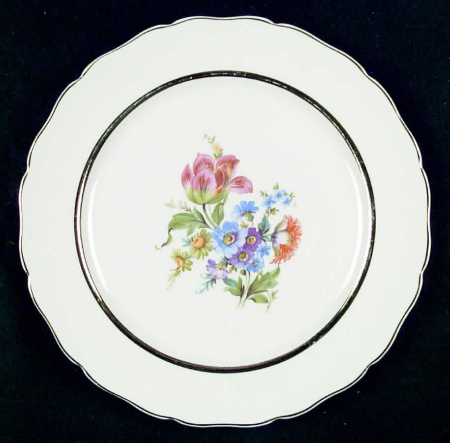 CAN31 Dinner Plate by Canonsburg-1