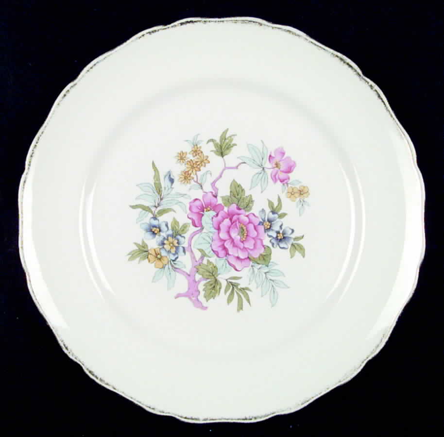 CAN35 Dinner Plate by Canonsburg-1