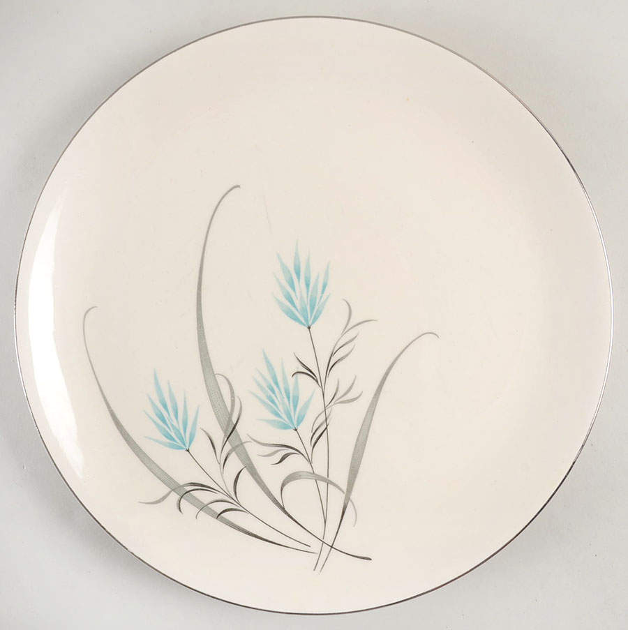 CAN36 Dinner Plate by Canonsburg-1