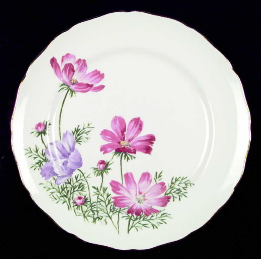 CAN39 Dinner Plate by Canonsburg-1