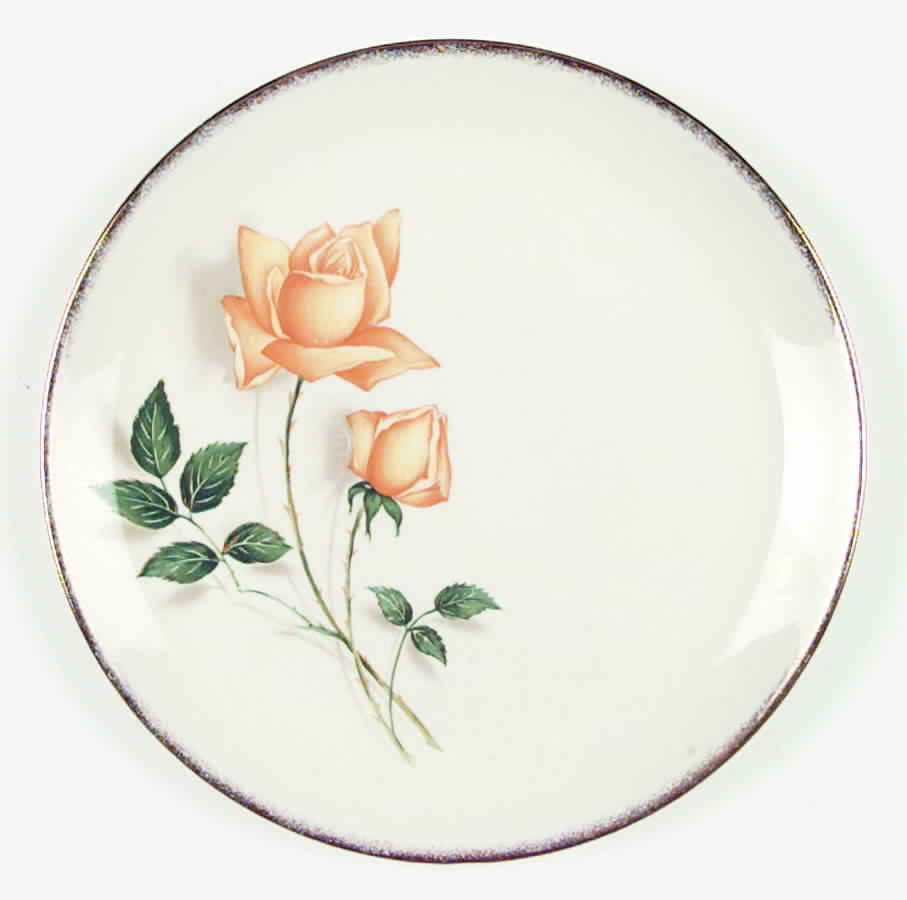 CAN40 Dinner Plate by Canonsburg-1