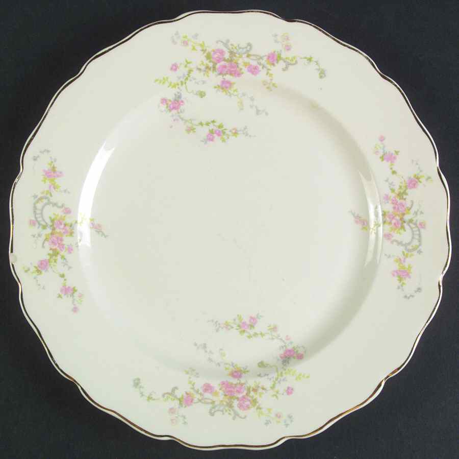 CAN42 Dinner Plate by Canonsburg-1