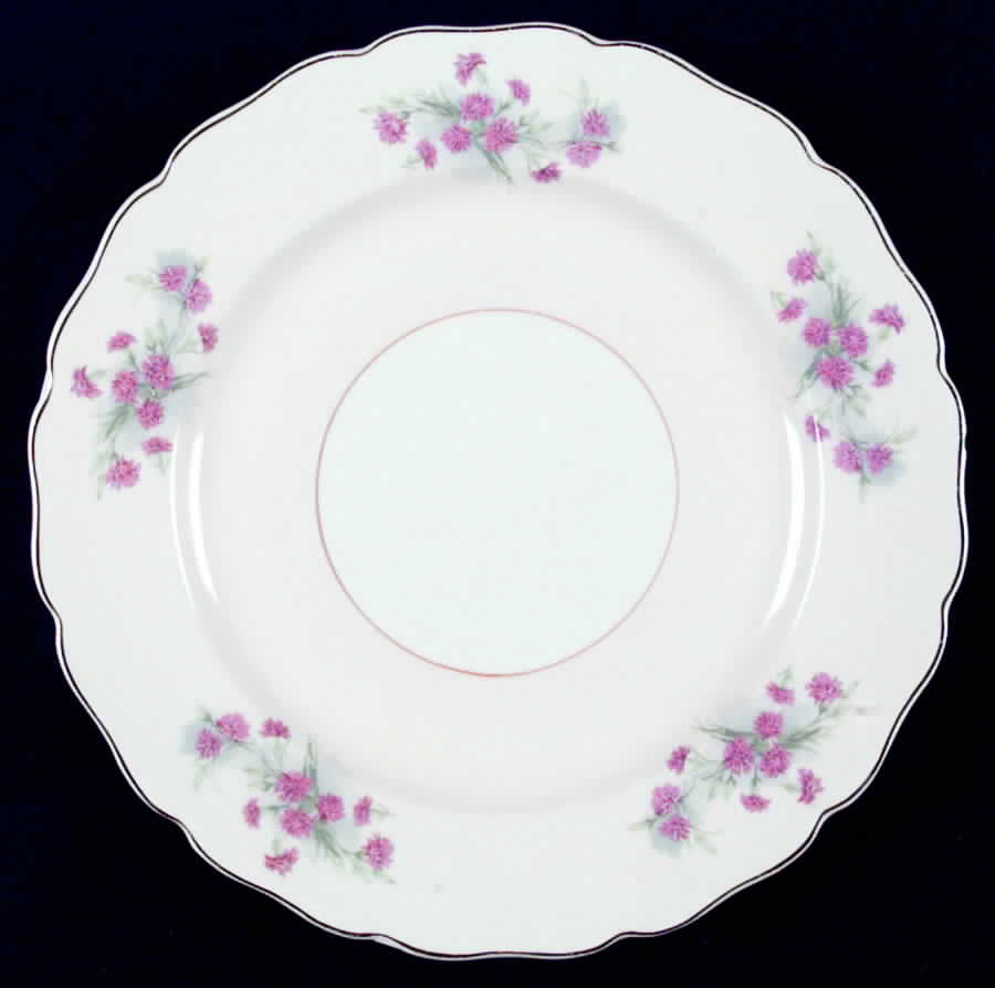 CAN43 Dinner Plate by Canonsburg-1