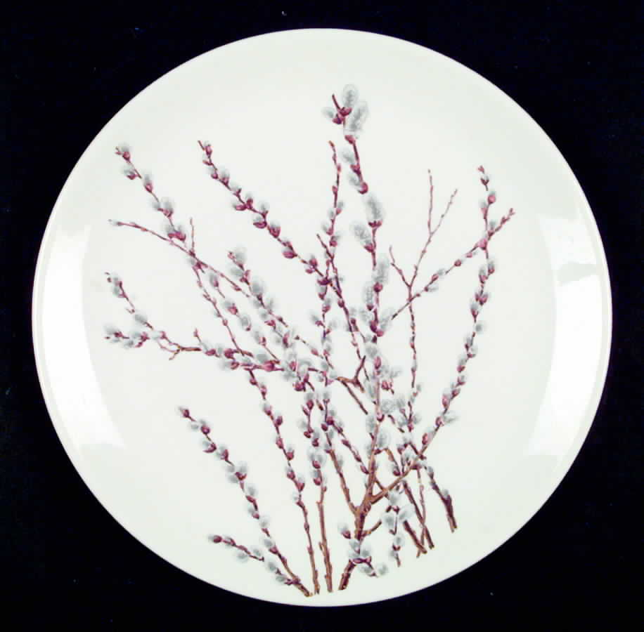 CAN46 Luncheon Plate by Canonsburg-1