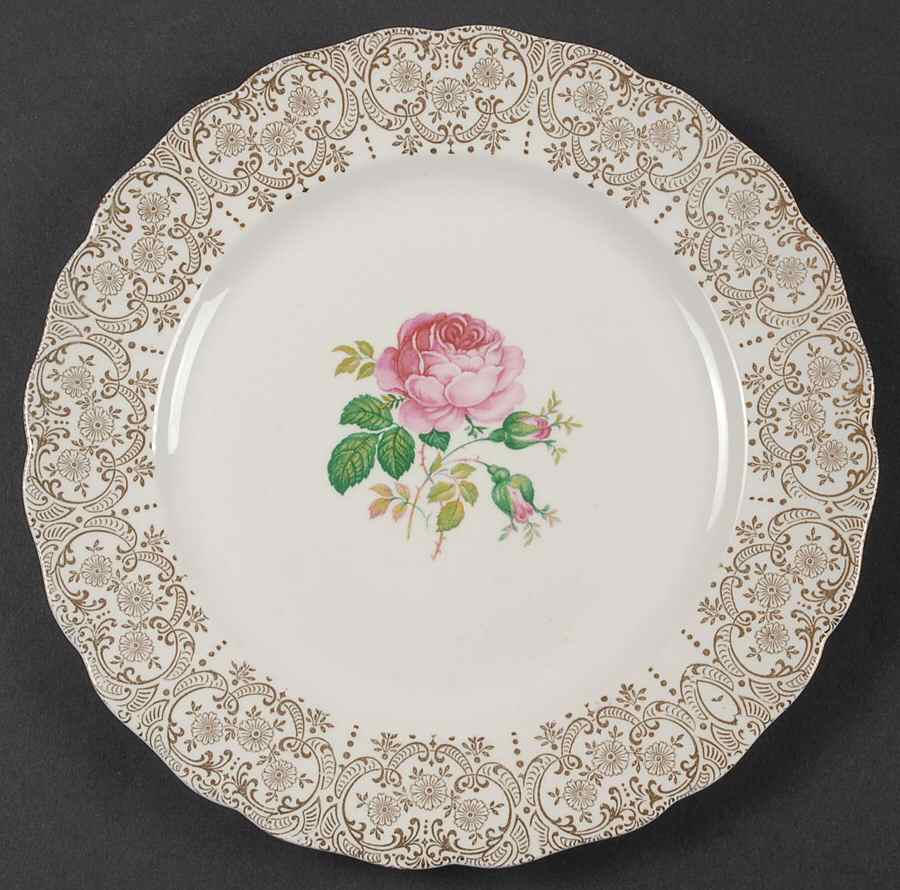CAN52 Dinner Plate by Canonsburg-1