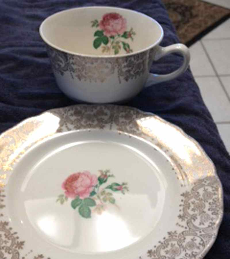 CAN52 Flat Cup by Canonsburg-1
