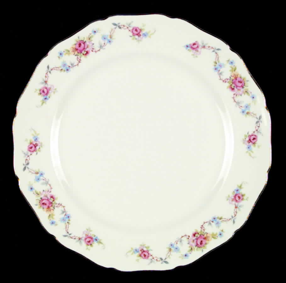 CAN54 Dinner Plate by Canonsburg-1