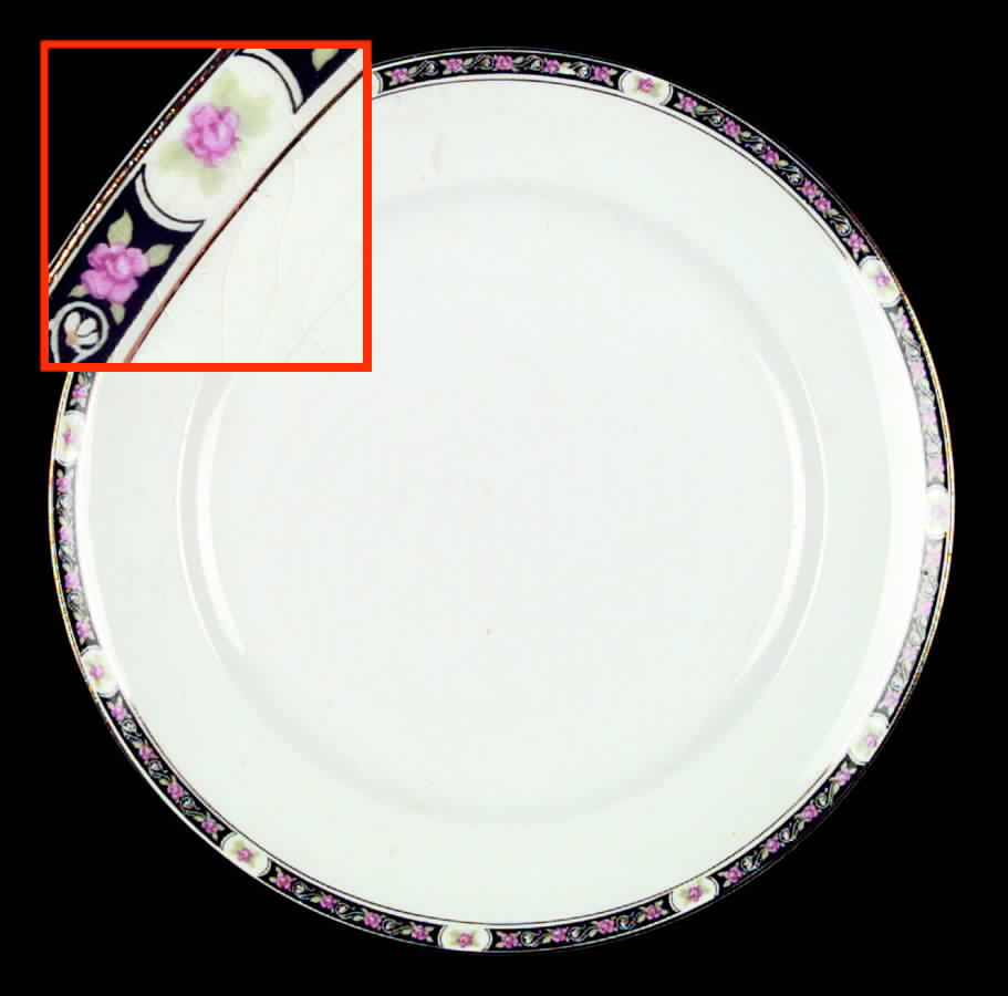 CAN55 Dinner Plate by Canonsburg-1