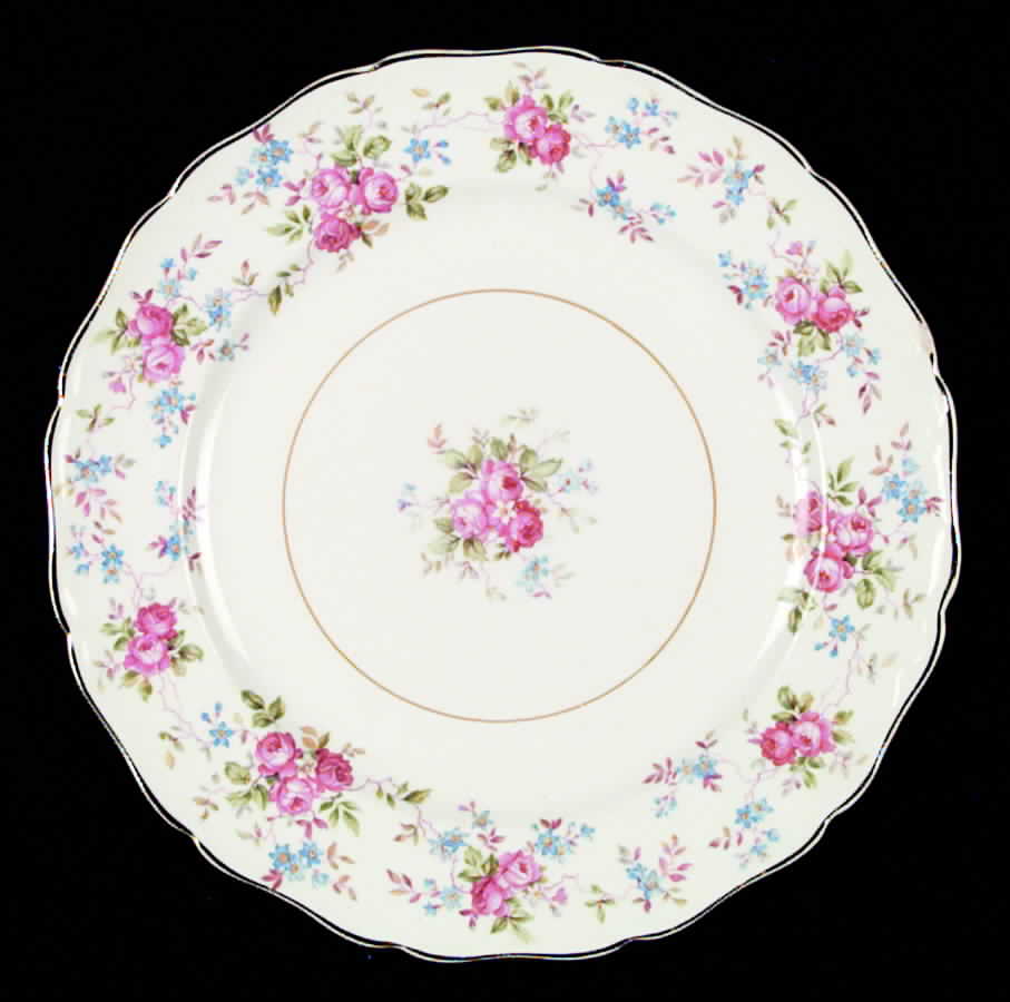 CAN56 Dinner Plate by Canonsburg-1