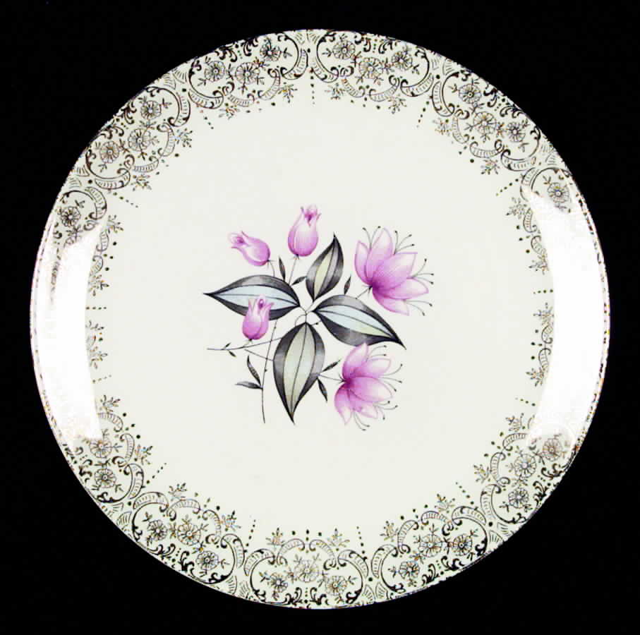 CAN58 Dinner Plate by Canonsburg-1