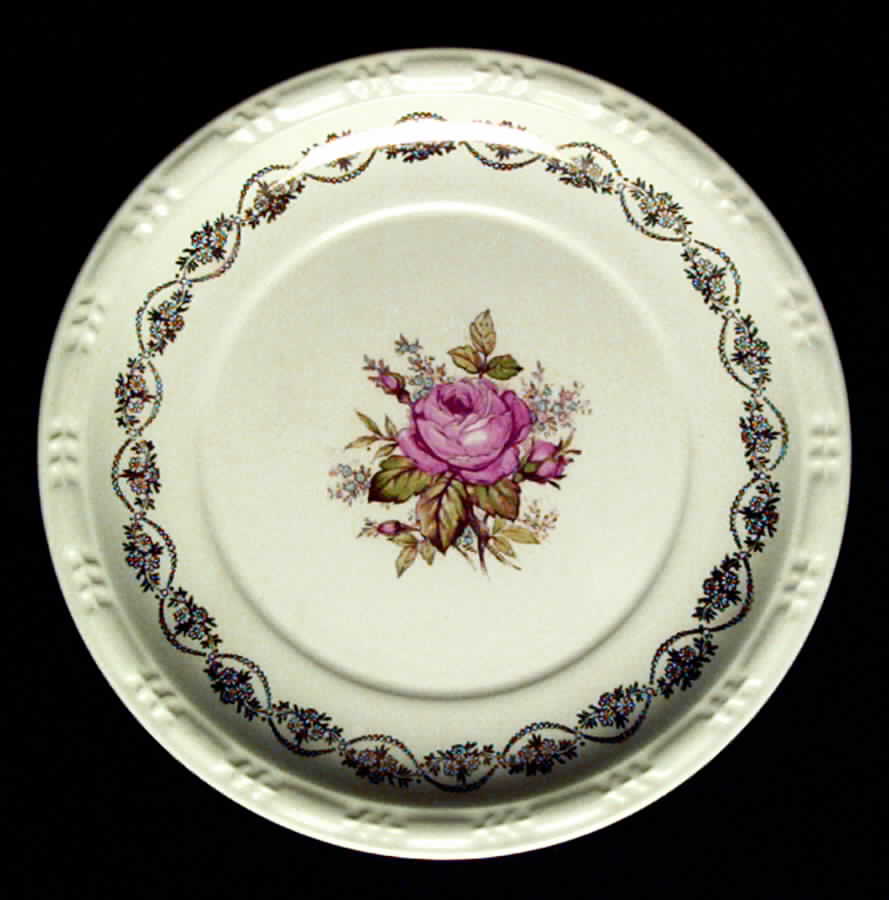CAN59 Dinner Plate by Canonsburg-1
